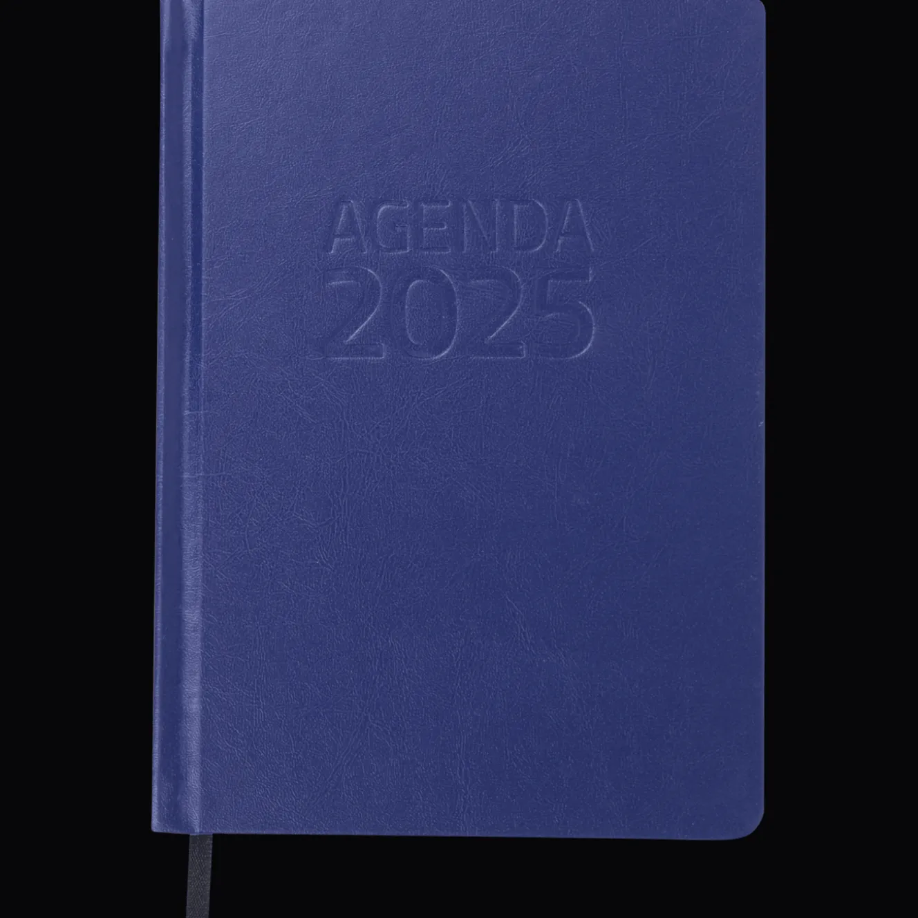 Agendas Et Calendriers*Action Agenda 2025