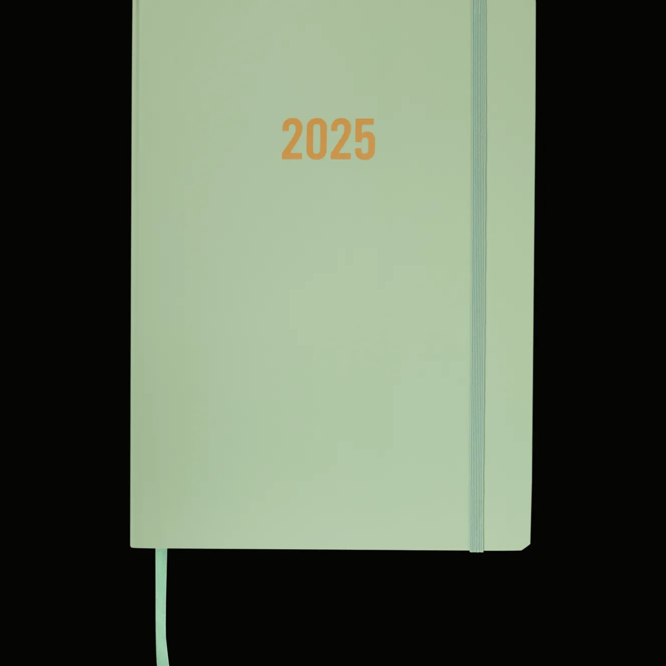 Agendas Et Calendriers*Action Agenda 2025