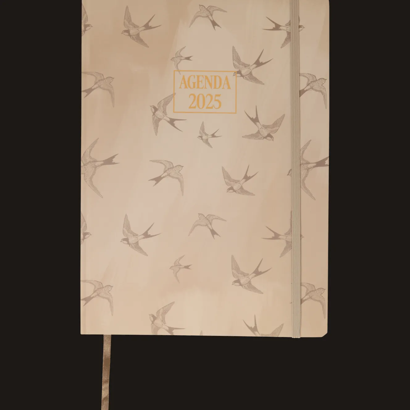 Agendas Et Calendriers*Action Agenda 2025