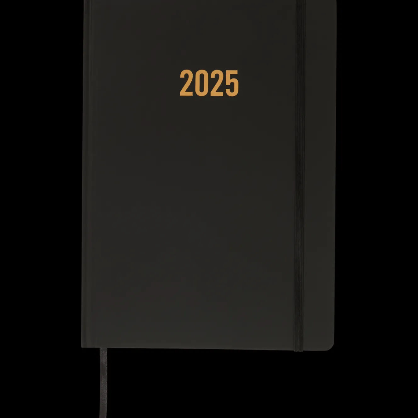 Agendas Et Calendriers*Action Agenda 2025