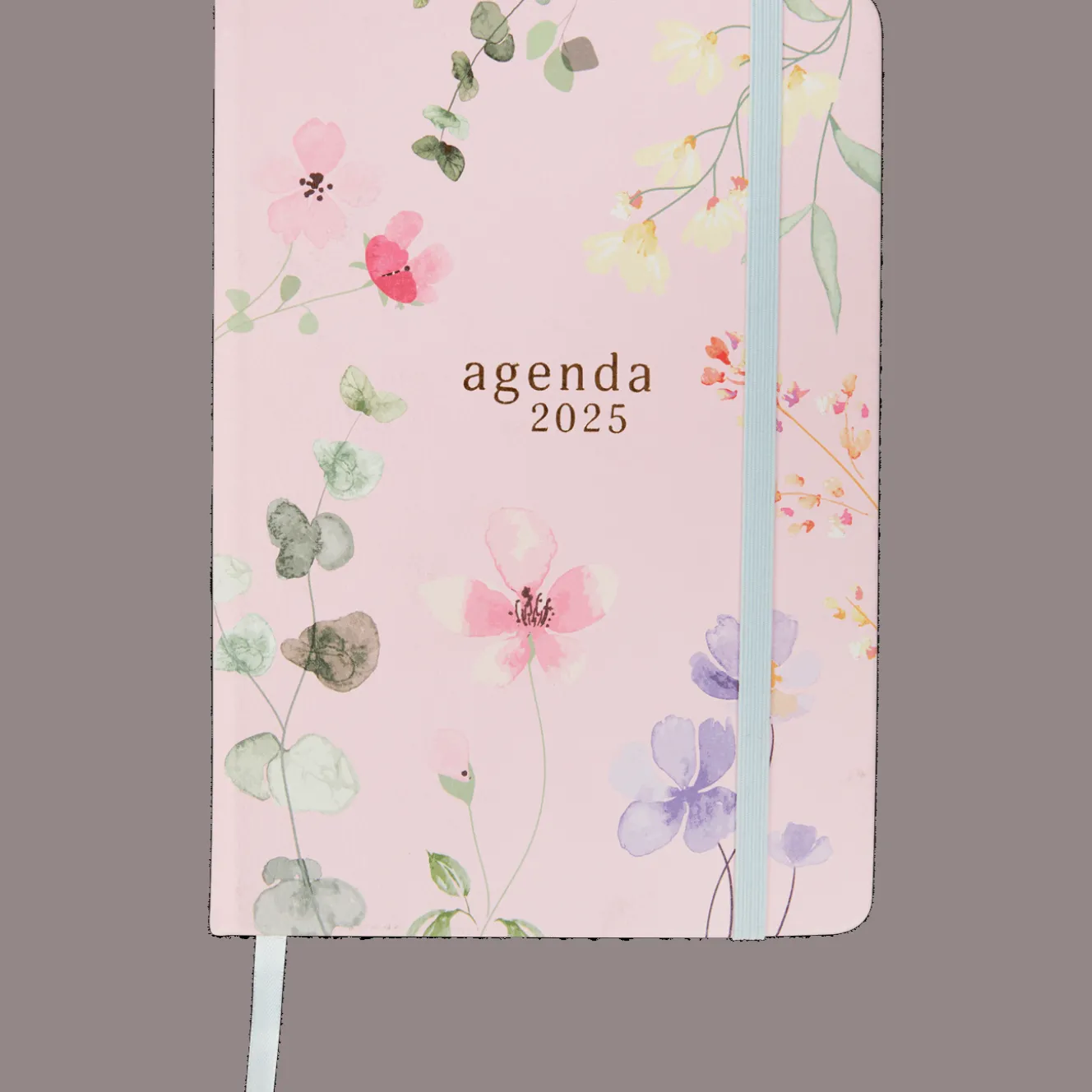 Agendas Et Calendriers*Action Agenda 2025