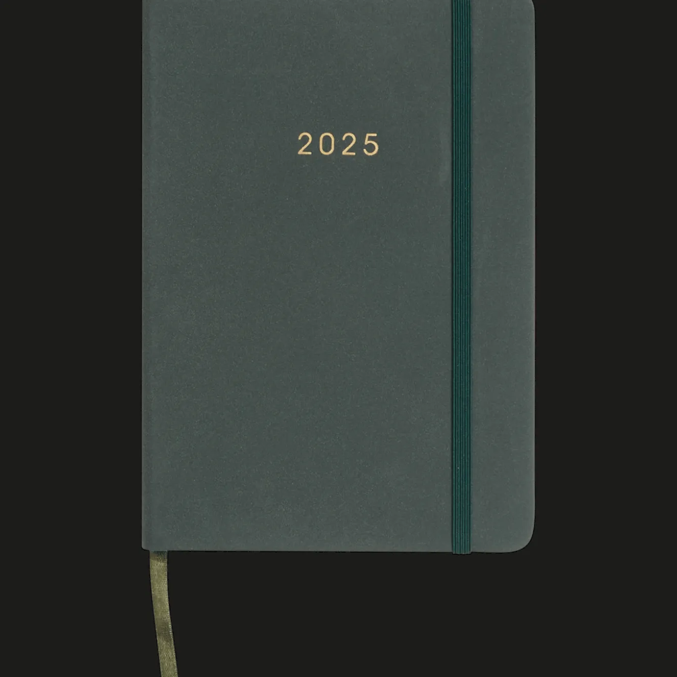Agendas Et Calendriers*Action Agenda 2025