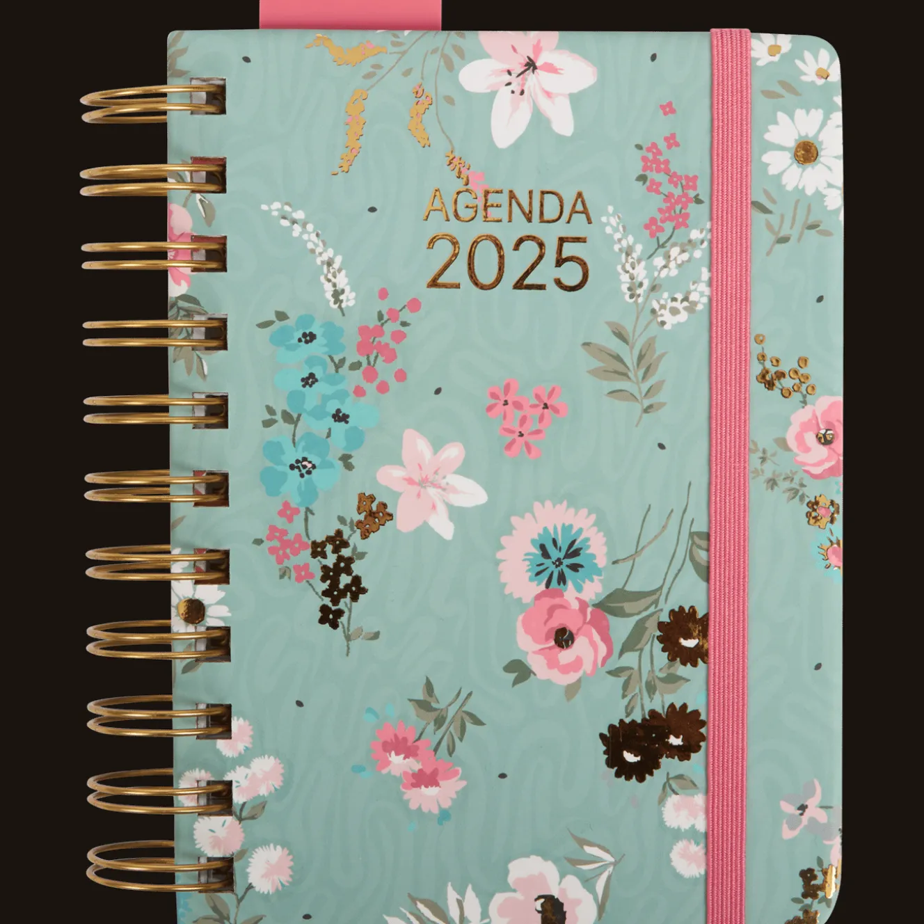 Agendas Et Calendriers*Action Agenda 2025