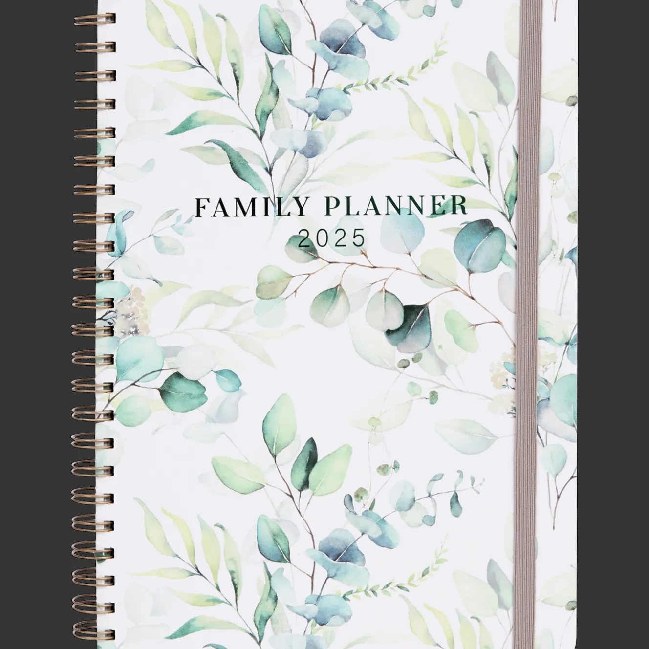 Agendas Et Calendriers*Action Agenda familial 2025