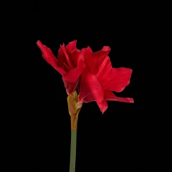 Plantes Et Fleurs Artificielles*Action Amaryllis artificielle sur tige