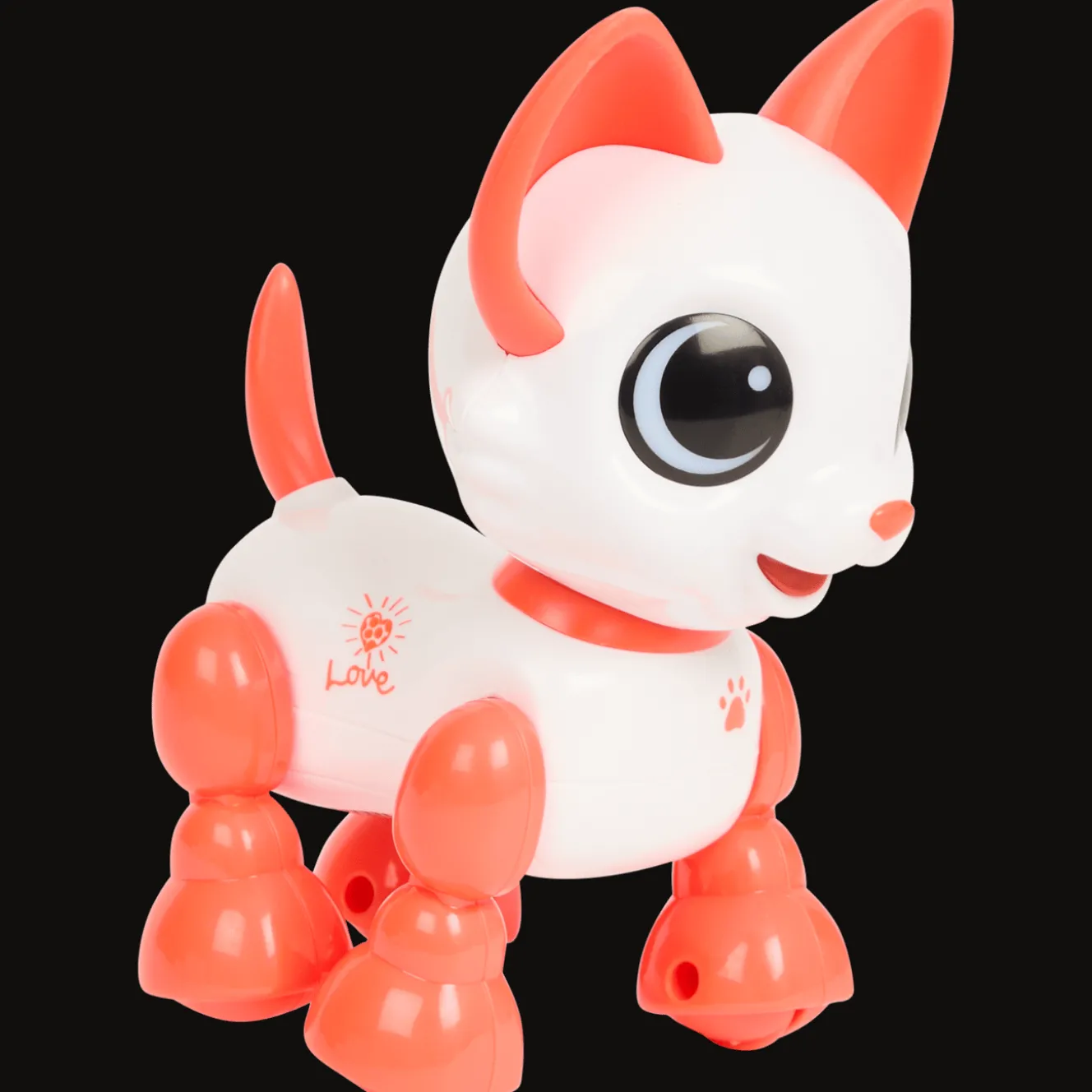 Jeux*Action Animal interactif