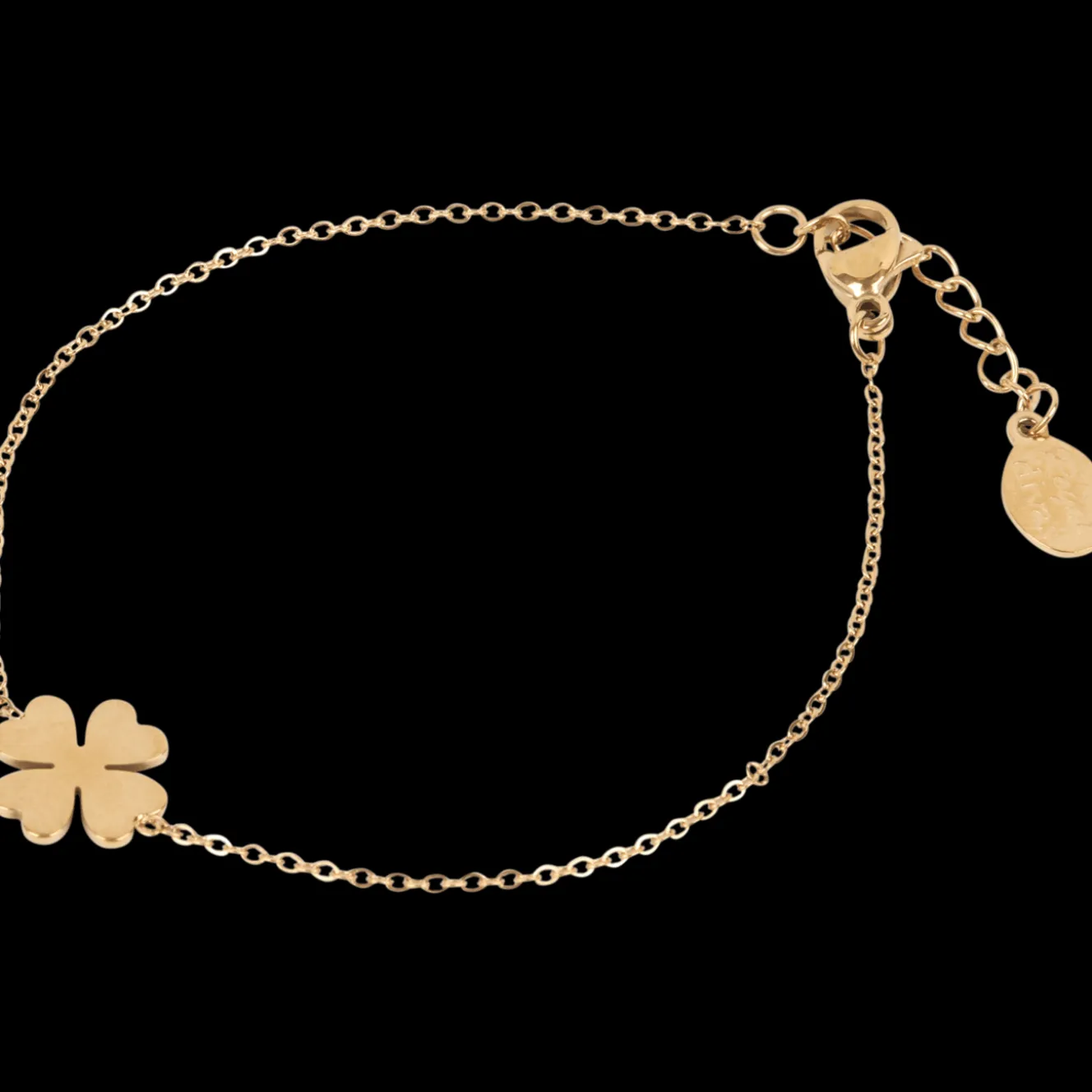 Montres Et Bijoux*Action Bracelet en acier inoxydable Royal Divas