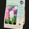 Semis Et Plantes*Action Bulbes à fleurs
