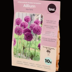 Semis Et Plantes*Action Bulbes à fleurs