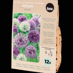 Semis Et Plantes*Action Bulbes à fleurs