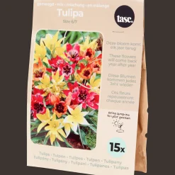 Semis Et Plantes*Action Bulbes à fleurs