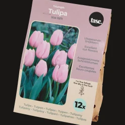 Semis Et Plantes*Action Bulbes de tulipe