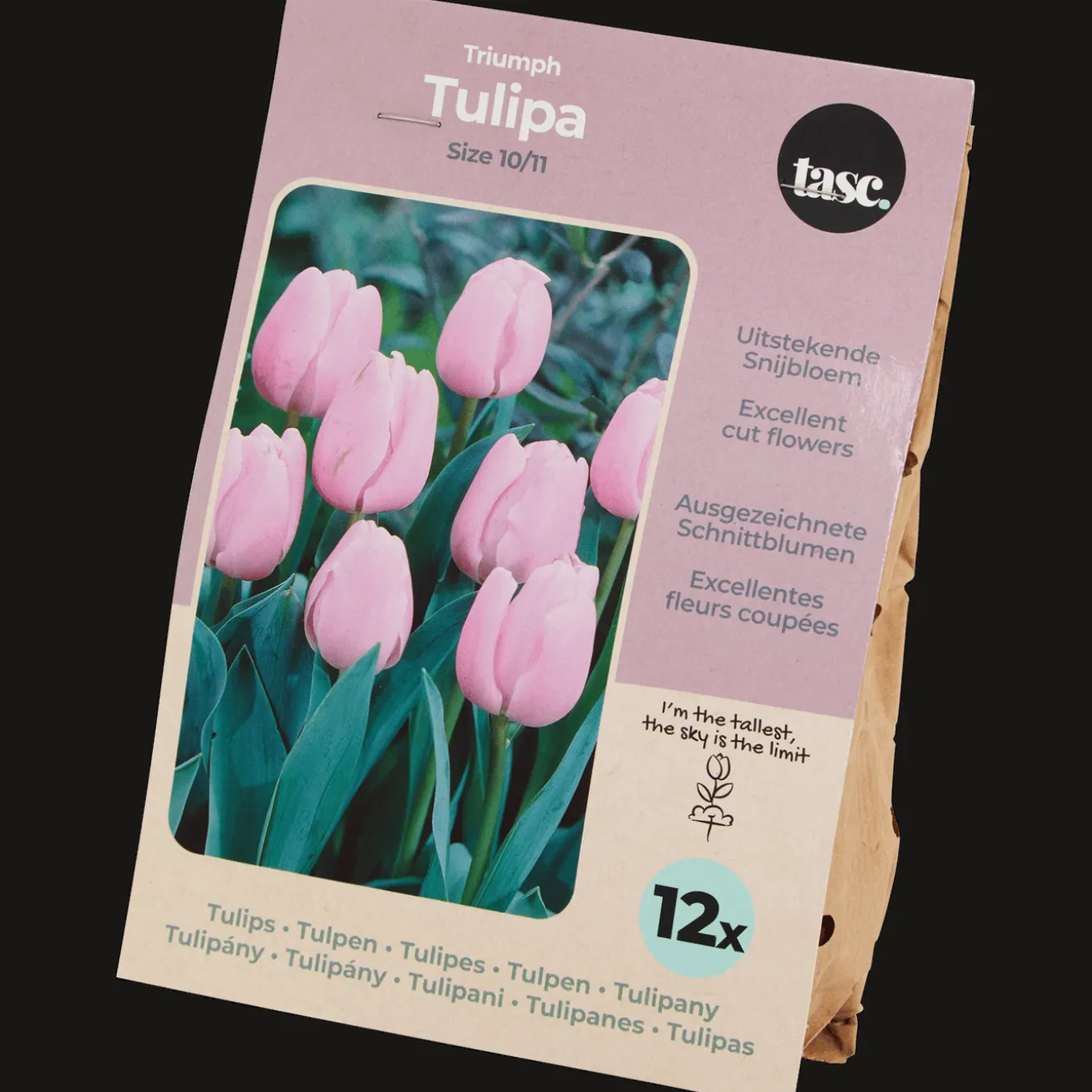 Semis Et Plantes*Action Bulbes de tulipe