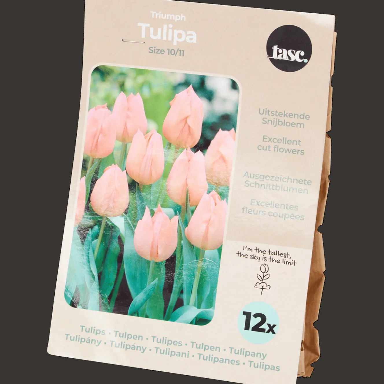 Semis Et Plantes*Action Bulbes de tulipe