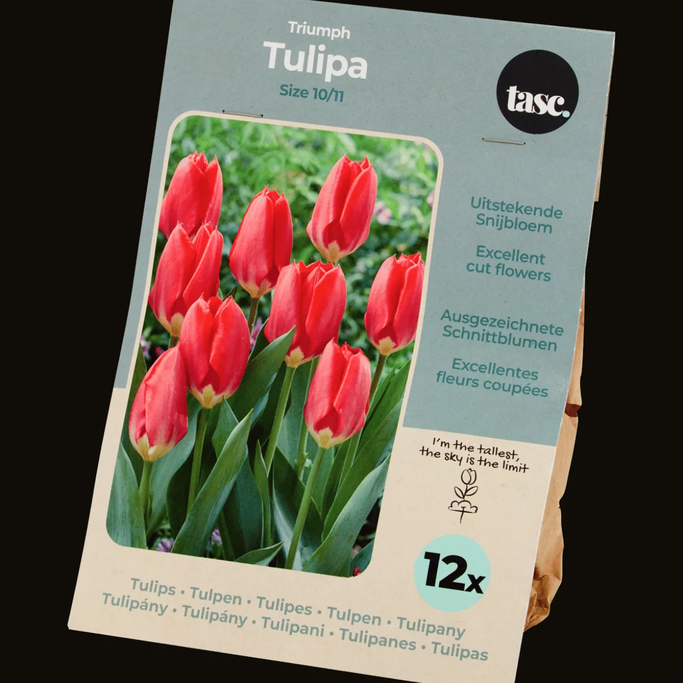 Semis Et Plantes*Action Bulbes de tulipe