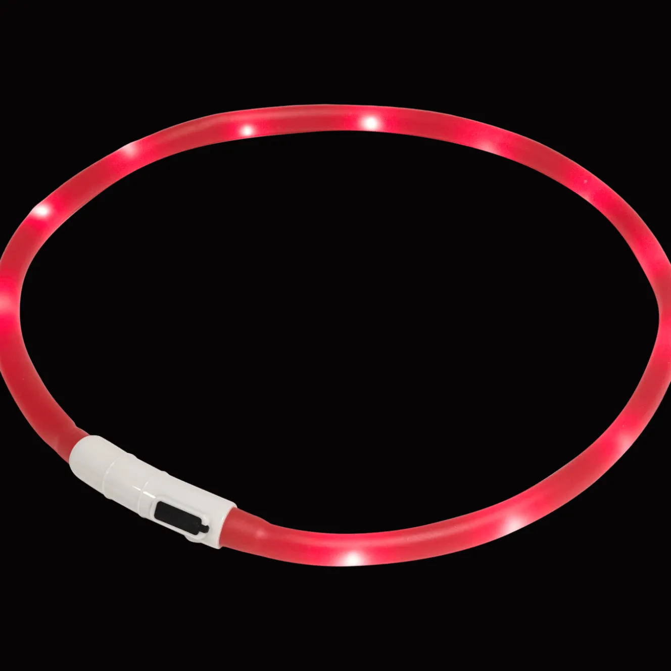 Accessoires Pour Animaux Domestiques*Action Collier LED rechargeable pour chien