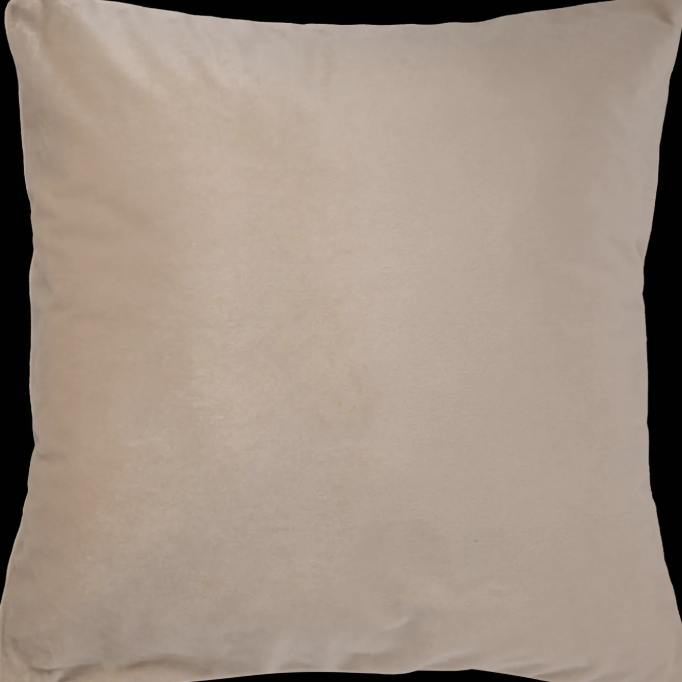 Oreillers*Action Coussin en velours