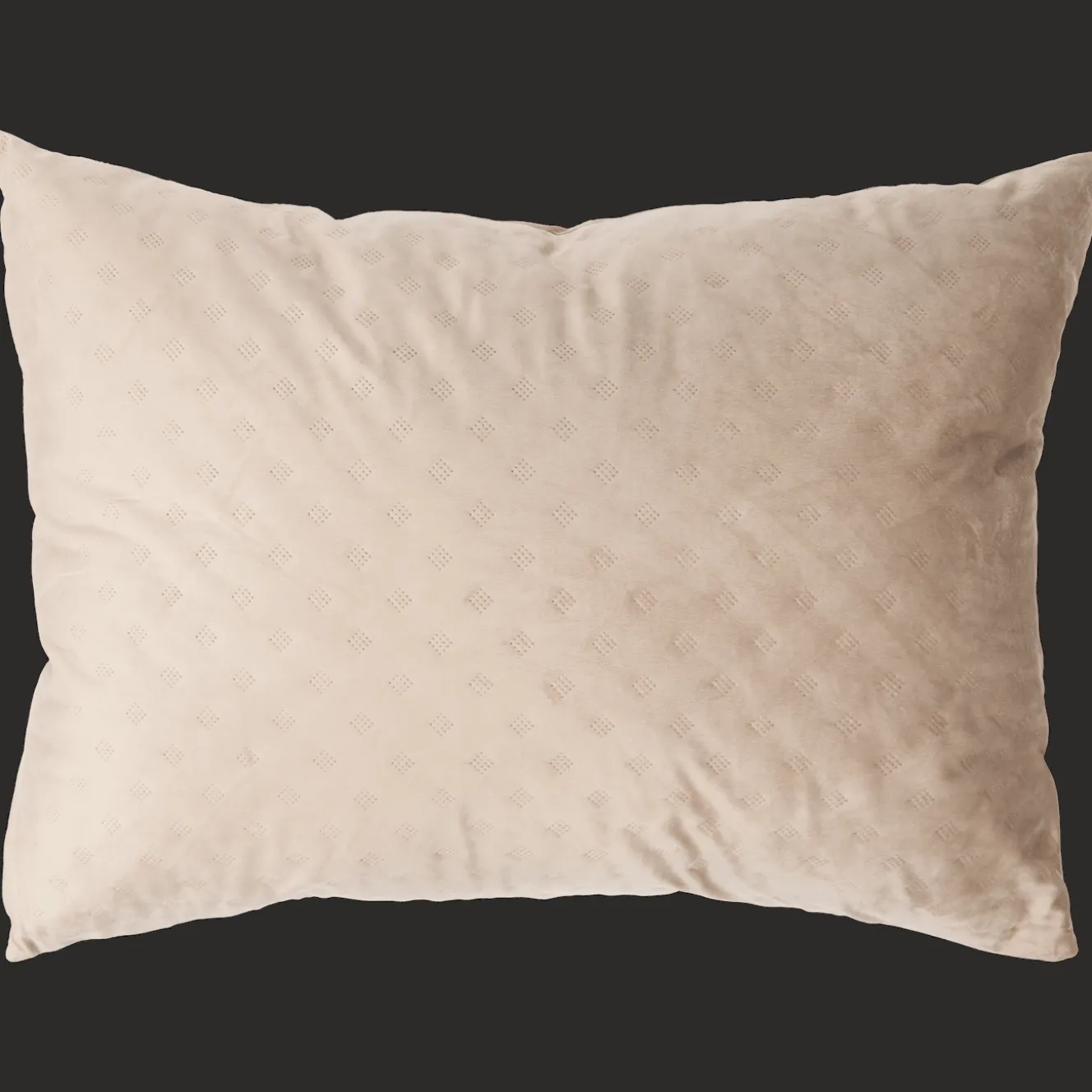 Oreillers*Action Coussin en velours XL