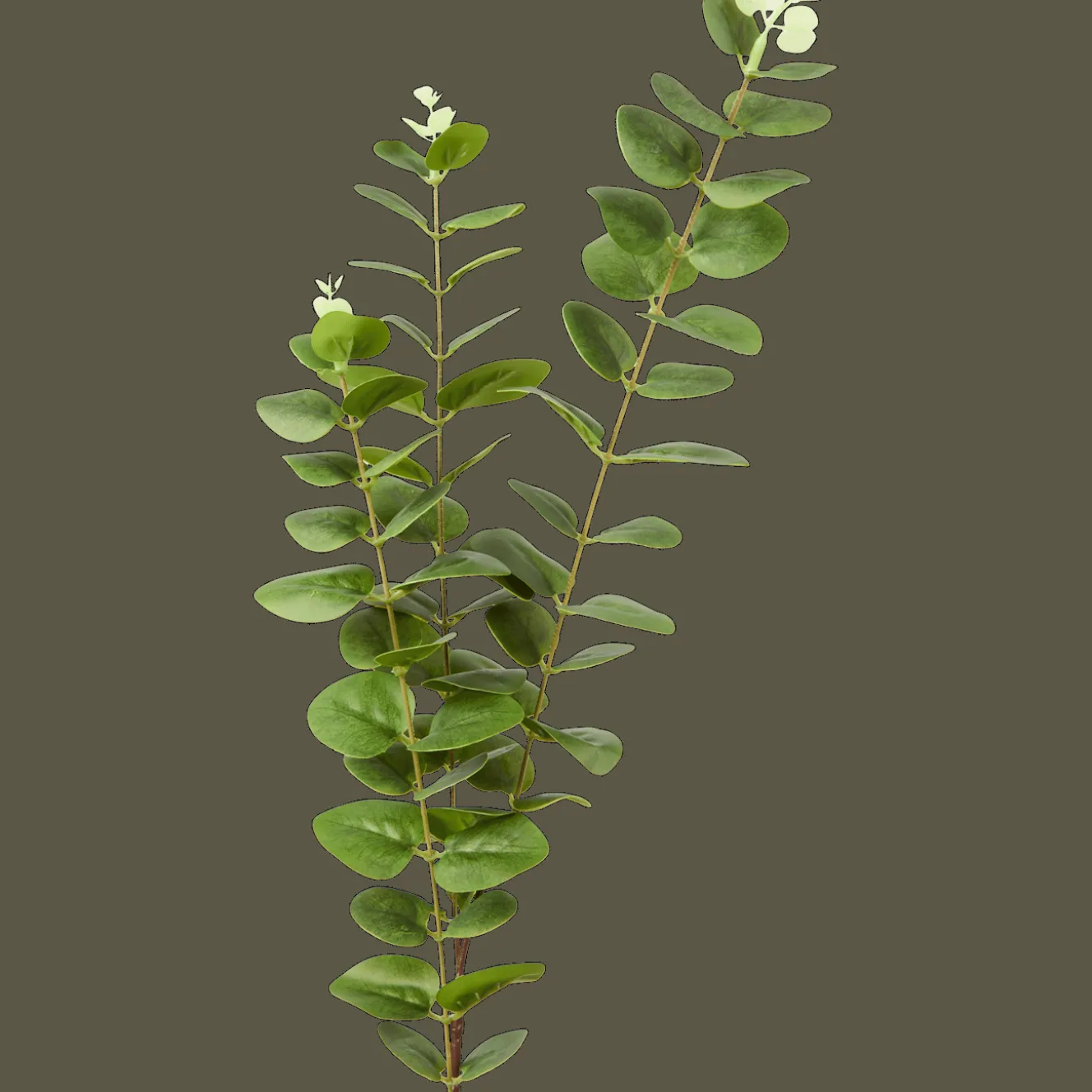 Plantes Et Fleurs Artificielles*Action Eucalyptus artificiel sur tige Excellent Flowers