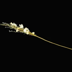 Plantes Et Fleurs Artificielles*Action Fleurs artificielles séchées