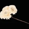 Plantes Et Fleurs Artificielles*Action Fleurs séchées