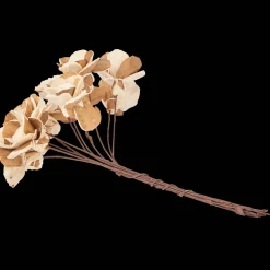 Plantes Et Fleurs Artificielles*Action Fleurs séchées