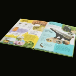 Coloriage Et Dessin*Action Livre découverte