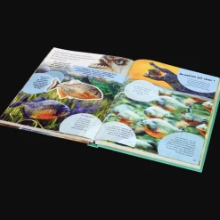 Coloriage Et Dessin*Action Livre découverte des animaux