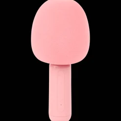 Accessoires Multimédia*Action Micro pour karaoké