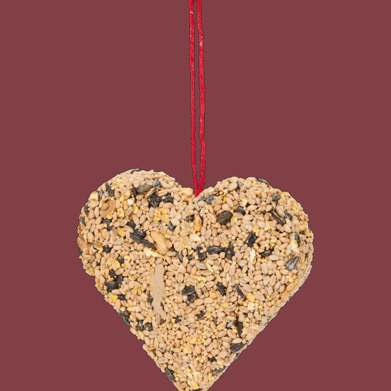 Alimentation*Bites for Birds Nourriture pour oiseaux