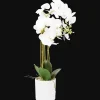 Plantes Et Fleurs Artificielles*Action Orchidée artificielle en pot