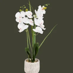Plantes Et Fleurs Artificielles*Action Orchidée artificielle en pot