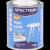 Peinture*Spectrum Peinture mate 2-en-1 Cool Grey