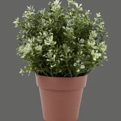 Plantes Et Fleurs Artificielles*Action Plante aromatique dans pot