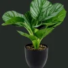Plantes Et Fleurs Artificielles*Action Plante artificielle