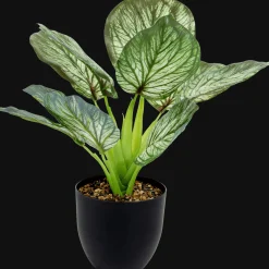 Plantes Et Fleurs Artificielles*Action Plante artificielle