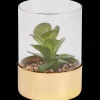 Plantes Et Fleurs Artificielles*Action Plante grasse artificielle dans un terrarium