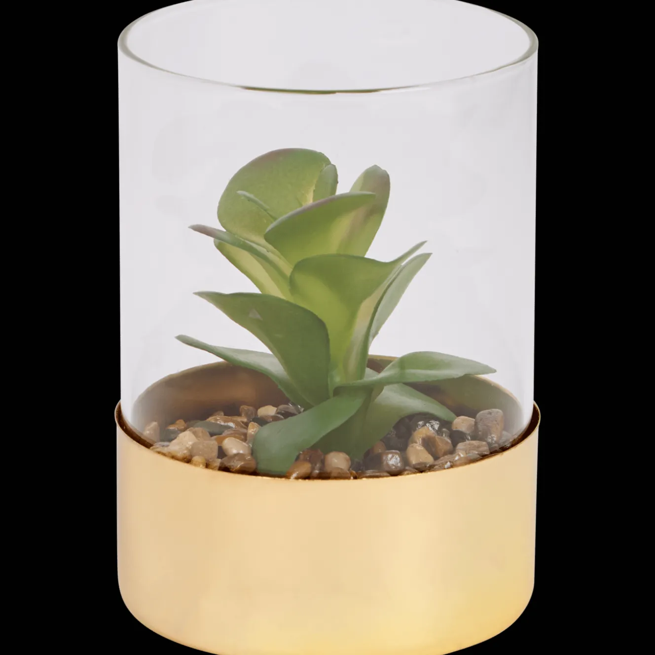 Plantes Et Fleurs Artificielles*Action Plante grasse artificielle dans un terrarium