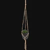 Plantes Et Fleurs Artificielles*Action Plante grasse artificielle dans un pot suspendu