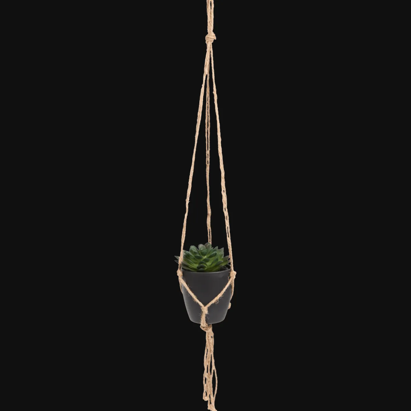 Plantes Et Fleurs Artificielles*Action Plante grasse artificielle dans un pot suspendu