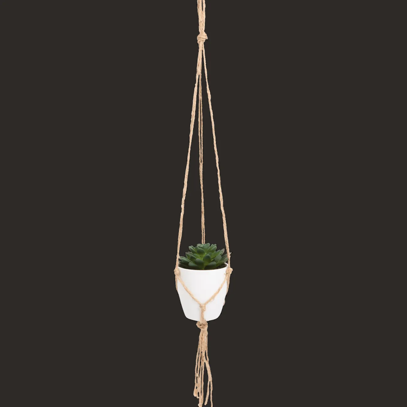 Plantes Et Fleurs Artificielles*Action Plante grasse artificielle dans un pot suspendu