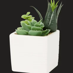 Plantes Et Fleurs Artificielles*Action Plante grasse artificielle en pot