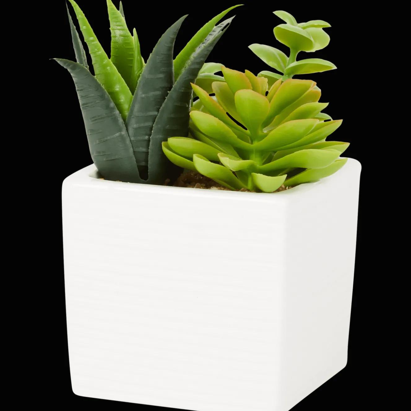 Plantes Et Fleurs Artificielles*Action Plante grasse artificielle en pot