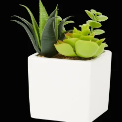 Plantes Et Fleurs Artificielles*Action Plante grasse artificielle en pot