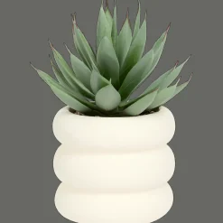 Plantes Et Fleurs Artificielles*Action Plante grasse artificielle dans pot