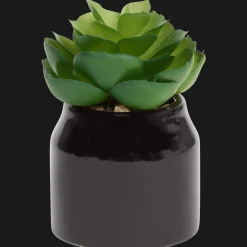 Plantes Et Fleurs Artificielles*Action Plante grasse artificielle en pot Home Accents