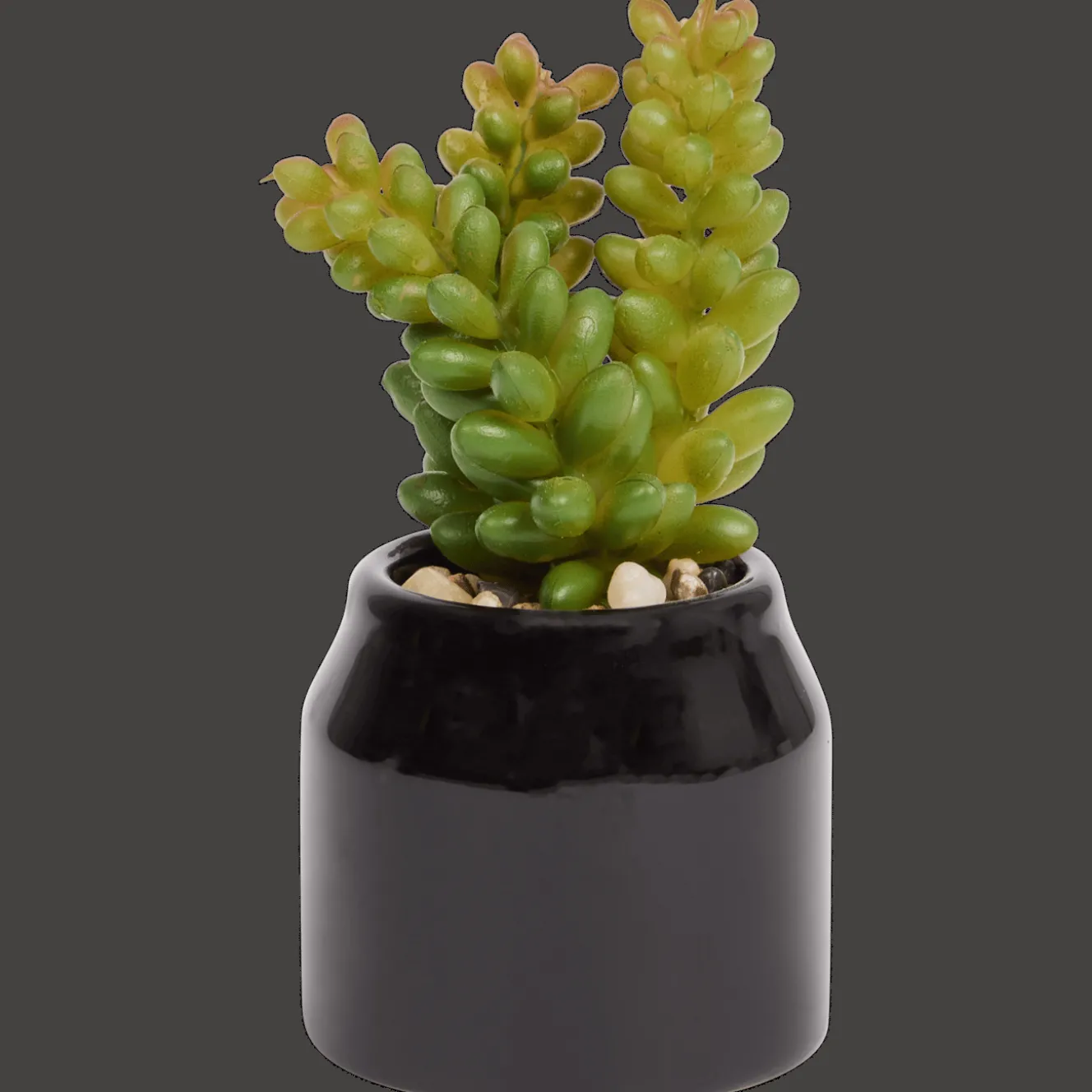 Plantes Et Fleurs Artificielles*Action Plante grasse artificielle en pot Home Accents