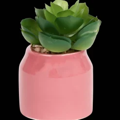 Plantes Et Fleurs Artificielles*Action Plante grasse artificielle en pot Home Accents