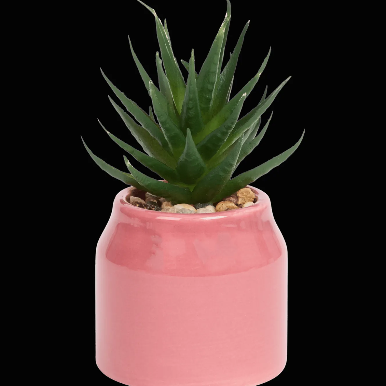 Plantes Et Fleurs Artificielles*Action Plante grasse artificielle en pot Home Accents