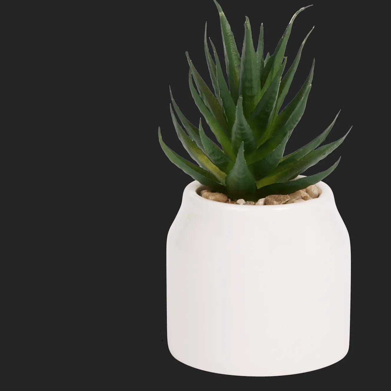 Plantes Et Fleurs Artificielles*Action Plante grasse artificielle en pot Home Accents